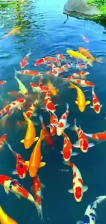 Colorful koi fish swimming in a tranquil pond