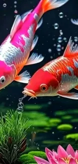 Vibrant koi fish swimming in a lush aquatic environment.