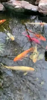 Vibrant koi fish swimming in a serene pond amidst greenery.