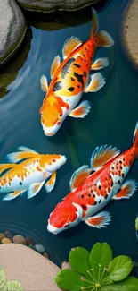 Vibrant koi fish swimming in a serene pond with green leaves.