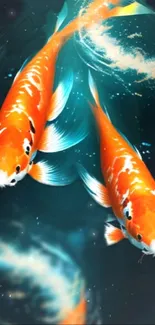 Vibrant orange koi fish swimming gracefully in water.