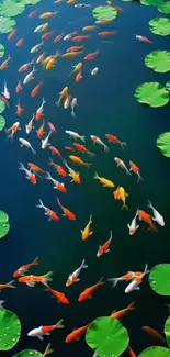 Colorful koi fish swimming in a tranquil pond with lily pads.