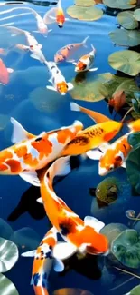 Vibrant koi fish swim in a serene pond with lily pads.