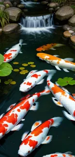 Colorful koi fish swimming in a tranquil pond with lily pads and stones.