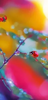 Vibrant wallpaper with ladybugs on colorful leaves.