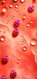 Red ladybug mobile wallpaper with water droplets.