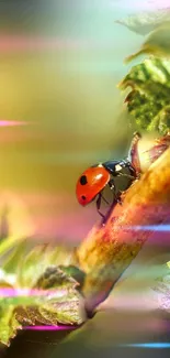 Ladybug on leaf with vibrant colors and dreamy background, perfect for mobile wallpaper.