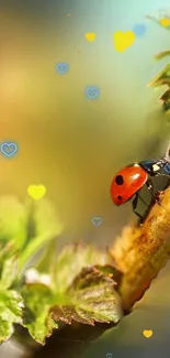 Ladybug on leaf with heart accents mobile wallpaper.