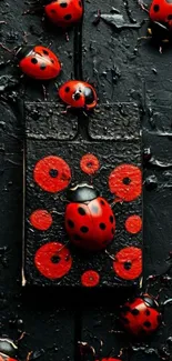 Red ladybugs on black textured phone wallpaper.