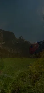 Ladybug on green grass with mountainous background under clear sky.