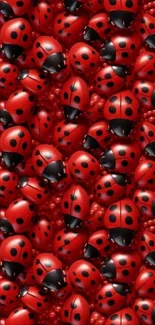 Vibrant swarm of red ladybugs creating a striking mobile wallpaper