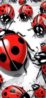 A group of vibrant red ladybugs on a white leafy background.