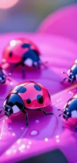 Vibrant pink petals with ladybugs crawling.