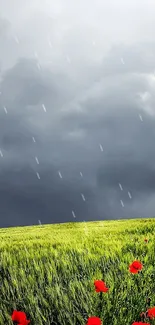 Lush green field with red flowers under a cloudy sky and lone tree.
