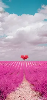 Vibrant lavender field with pink tree under a blue sky.