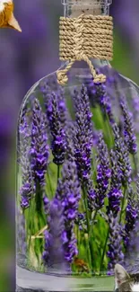 Lavender flowers in a glass jar with cats.