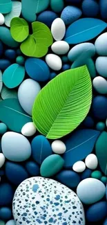 Green leaf and blue pebbles on nature-inspired wallpaper.