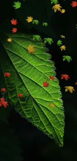 Green leaf with colorful falling leaves wallpaper.