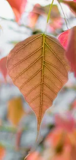 Vibrant coral pink leaf with intricate patterns.