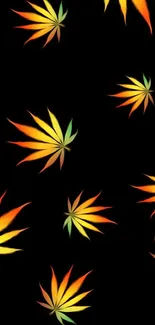 Vibrant autumn leaves pattern on black background wallpaper.