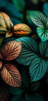 Vibrant leaves with green and orange tones.