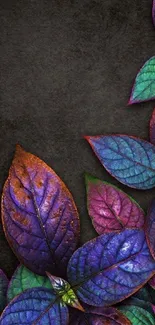 Vibrant colorful leaves on dark background mobile wallpaper.