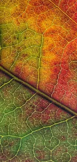 Close-up of a vibrant leaf with intricate patterns.