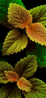 Vibrant wallpaper with detailed green leaves.