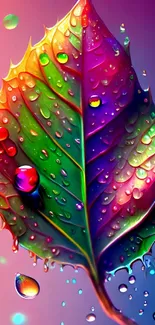 Vibrant multicolored leaf with water droplets on a mobile wallpaper.
