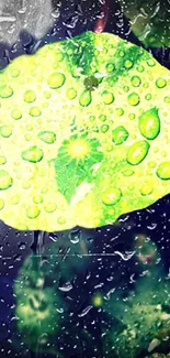 Green leaf with water droplets on a dark background.