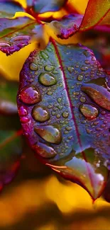 Close-up of a vibrant leaf with dew droplets, showcasing stunning colors.