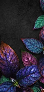 Vibrant colorful leaves on dark background wallpaper.