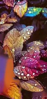 Colorful leaves with raindrops in vibrant hues.