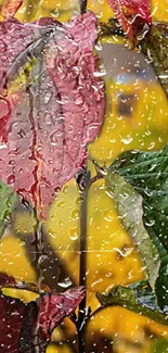 Mobile wallpaper of vibrant leaves with raindrops and yellow background.