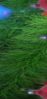 Vibrant LED lights on green grass background.