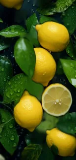 Vibrant lemons and green leaves wallpaper with water droplets.