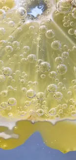 Vibrant lemon slice with bubbles close-up as wallpaper.