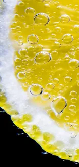 Close-up of a vibrant lemon slice with bubbles on a black background.