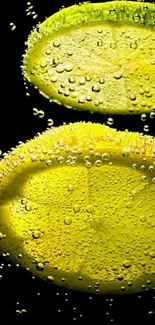 Bright lemon slices with bubbles wallpaper.