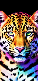 Colorful artistic leopard mobile wallpaper.
