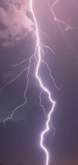 Striking lightning bolt in dark purple sky at night.