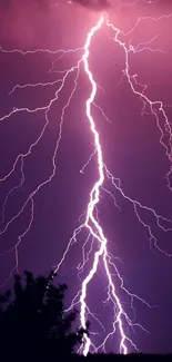 Vibrant lightning strike against a purple night sky.