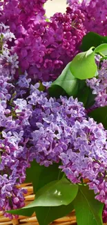 A vibrant display of purple lilacs in a basket.