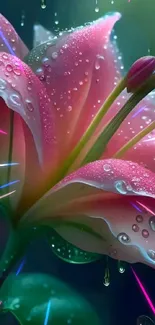 Close-up of pink lily with water droplets on petals.