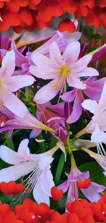 Beautiful pink lilies with red heart accents on a vibrant wallpaper.