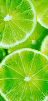 Vibrant lime slices creating a fresh, zesty phone wallpaper.