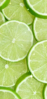 Close-up of vibrant green lime slices.