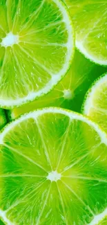 Vibrant green lime slices wallpaper for mobile screens.