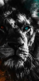 Black and white lion with vibrant eye colors in artistic wallpaper.