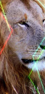 Lion portrait with vibrant neon lights.